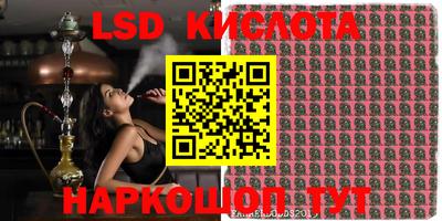 бошки Камышлов