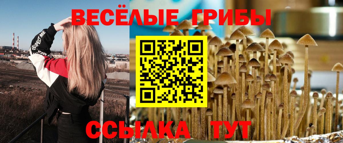 Хабаровск  Галлюциногенные грибы мухоморы  Псилоцибиновые грибы Magic Shrooms  Вход с VPN 