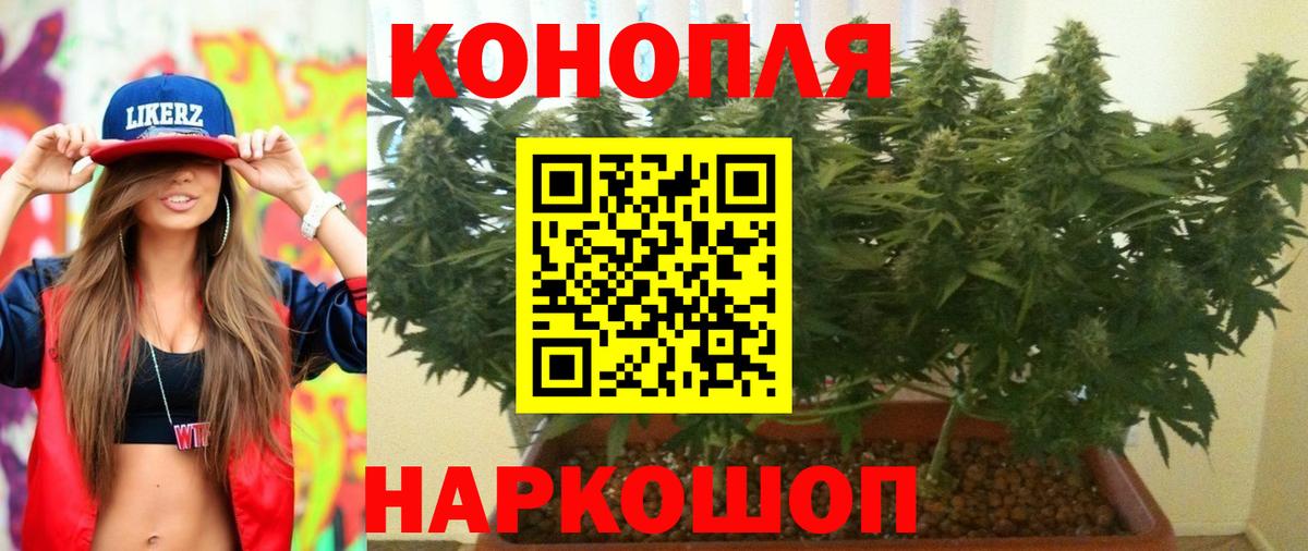 МАРИХУАНА планчик Хабаровск